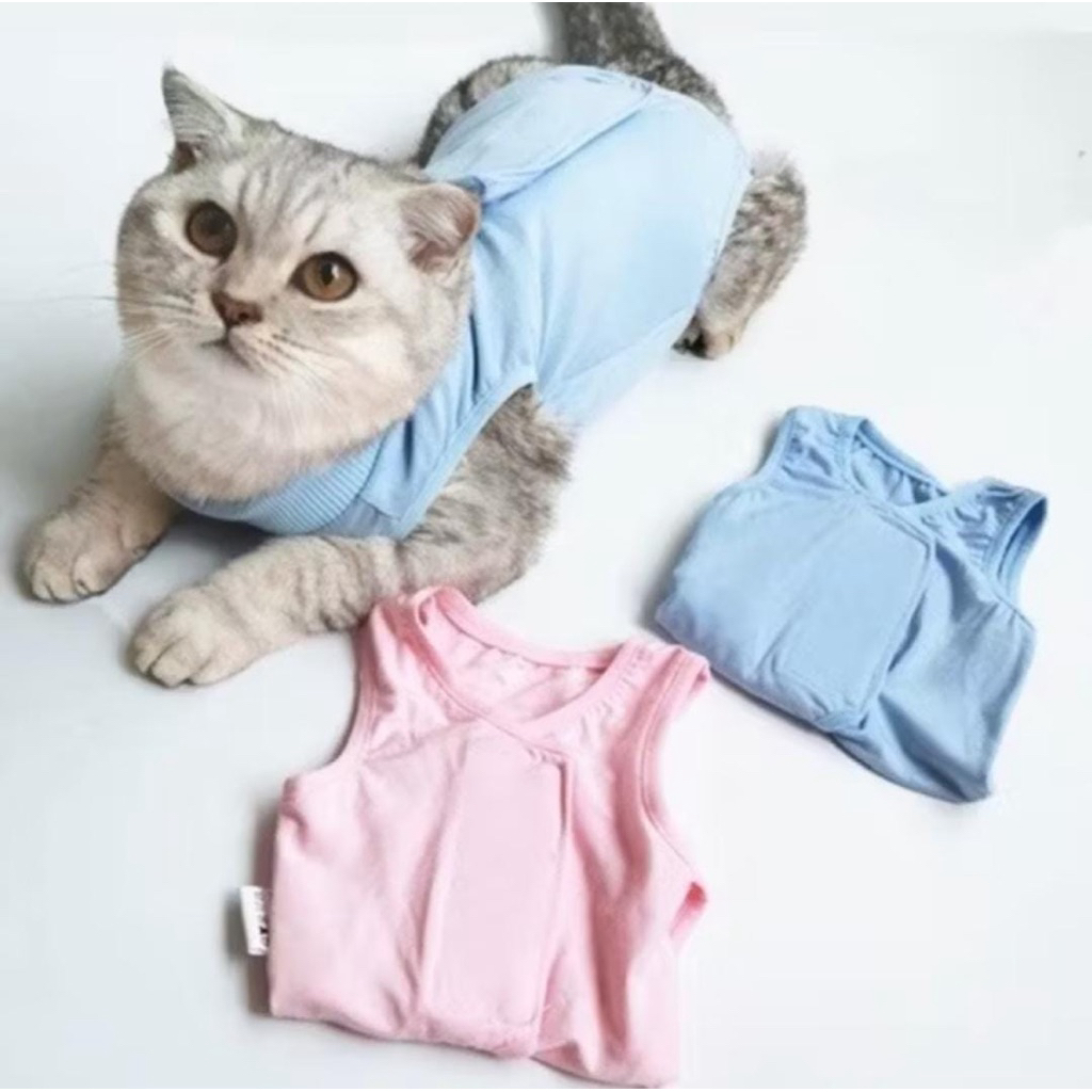 kaos steril kucing untuk kucing pasca operasi
