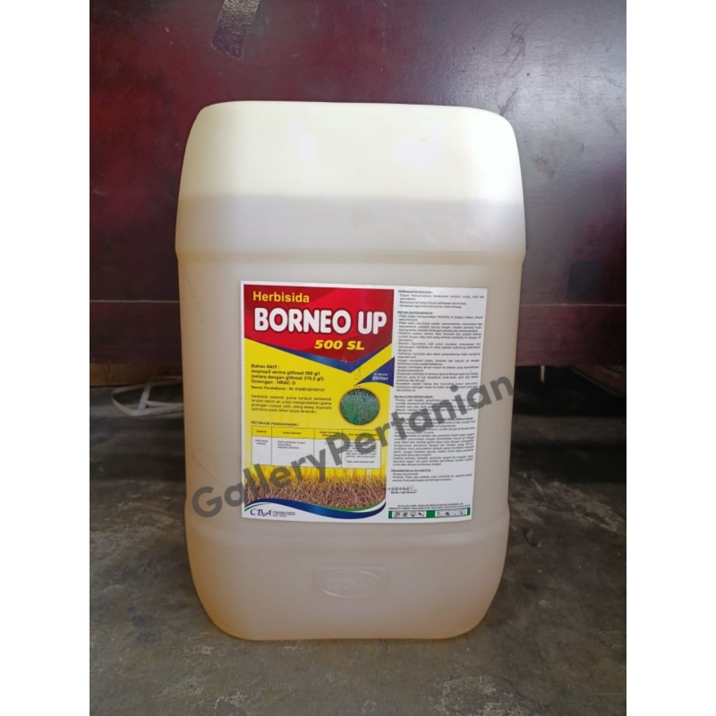 RACUN RUMPUT BORNEO UP 500SL 20L