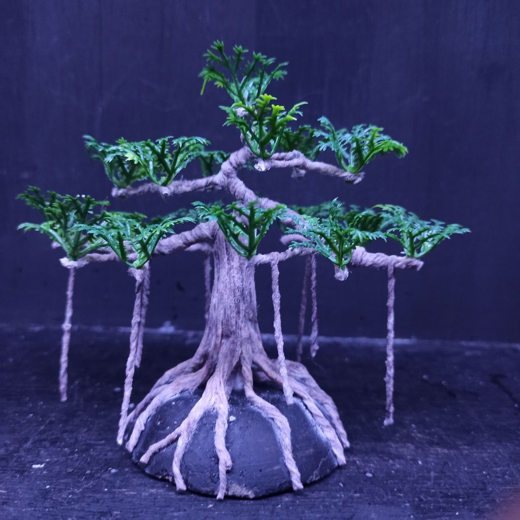 bonsai mini beringin akar juntai  bonsai aquascape bonsai hias repllika