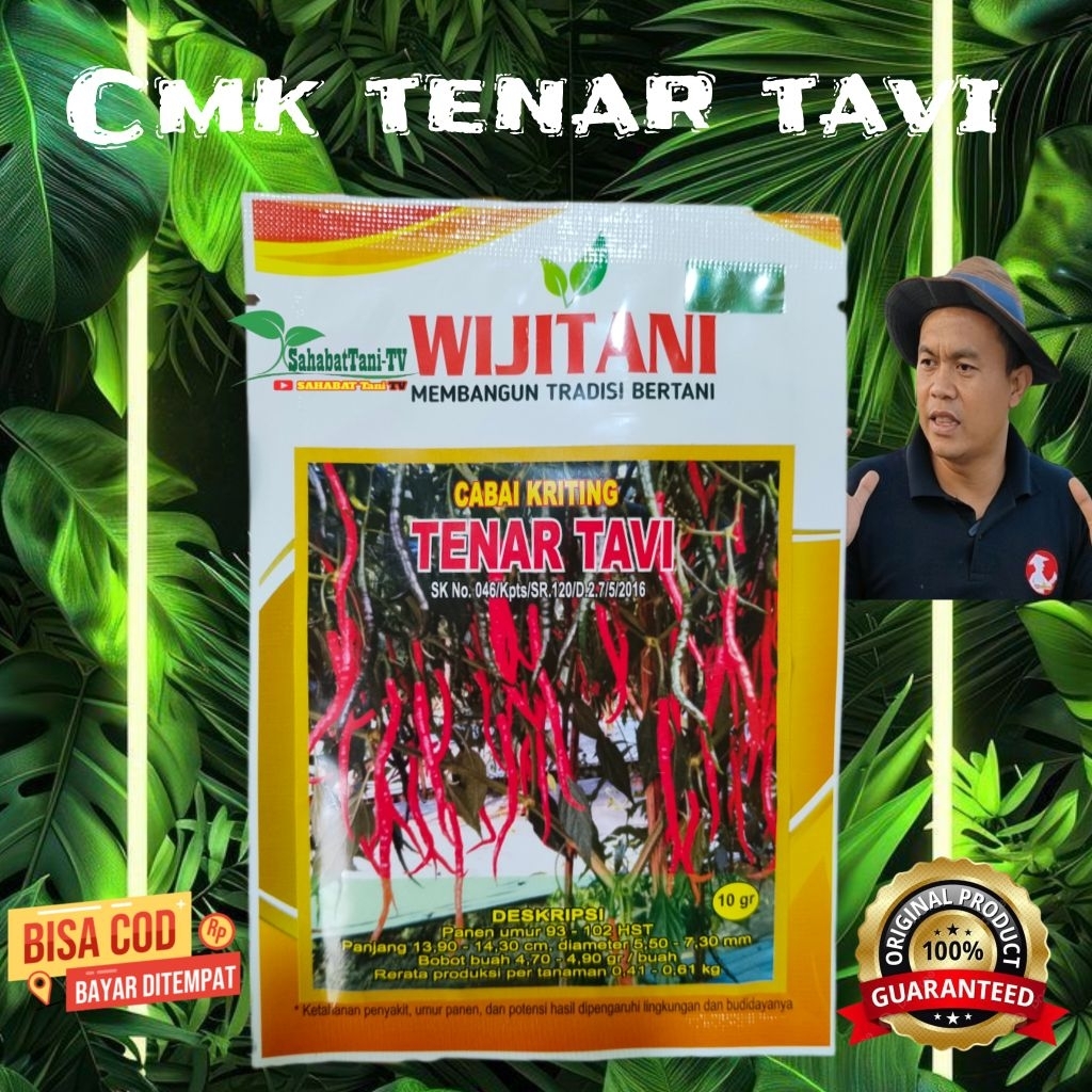 BENIH CABE KERITING TENAR TAVI 10GR WIJI TANI , CABE KERITING ANTI VIRUS