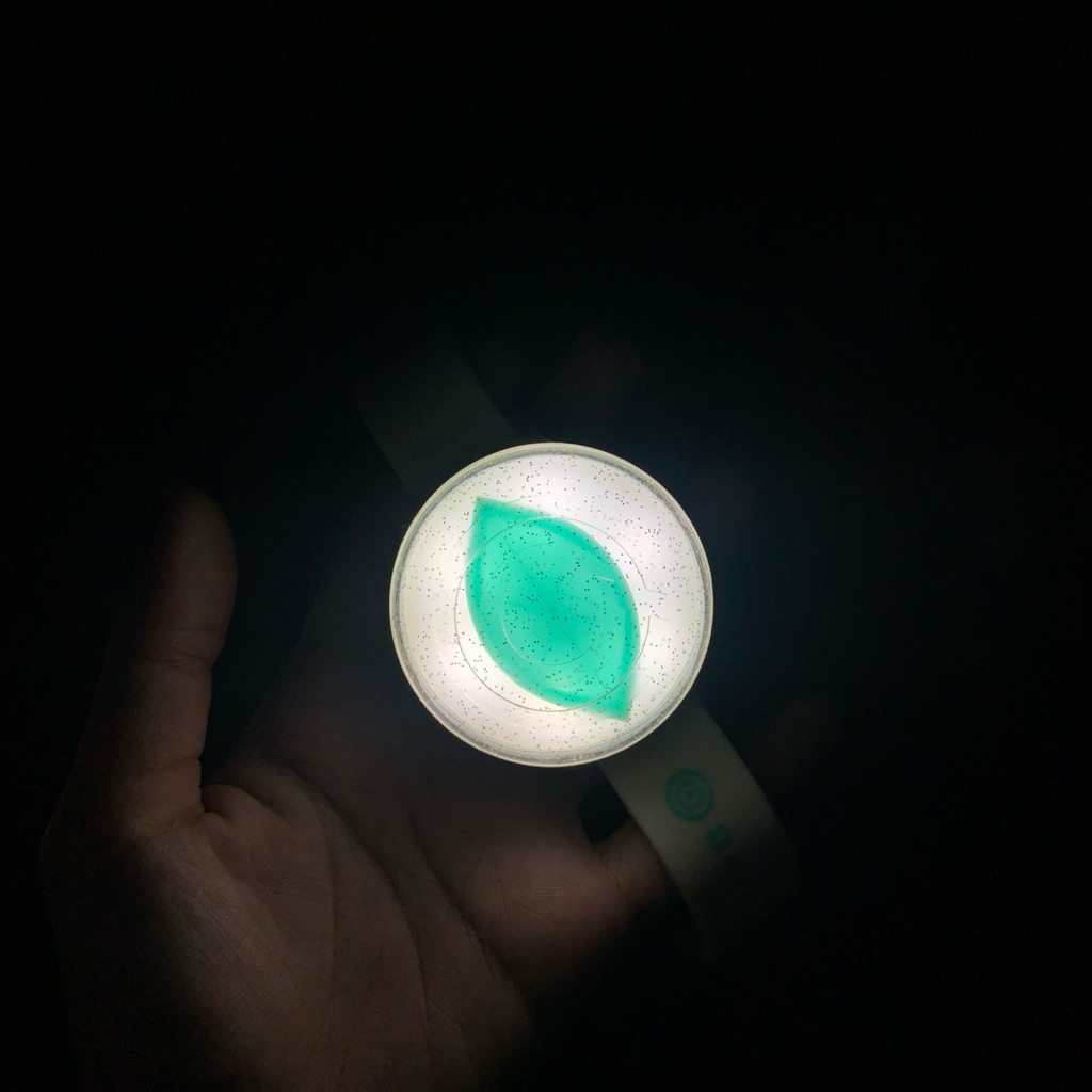 Preloved Lightband DAY6 Ver1 myday