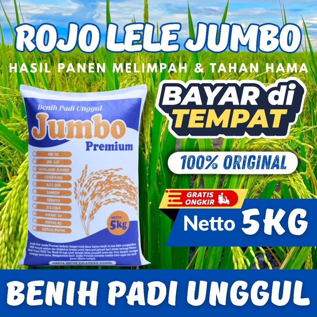 COD Benih Bibit Padi Unggul Rojo Lele Jumbo Original Premium Kemasan 5Kg Anti Hama Dan Rebah