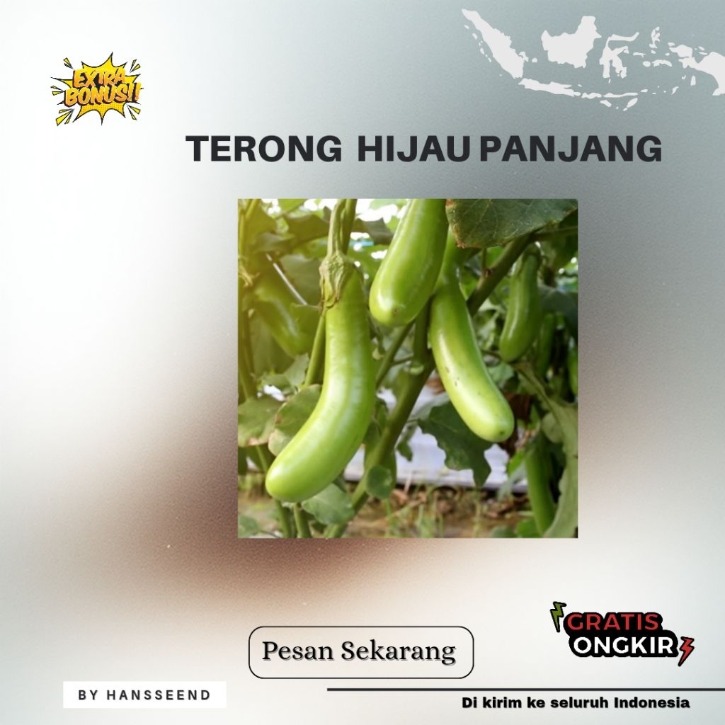 (10 gram) BENIH BIJI TERONG HIJAU PANJANG LOKAL | EXTRA BONUS