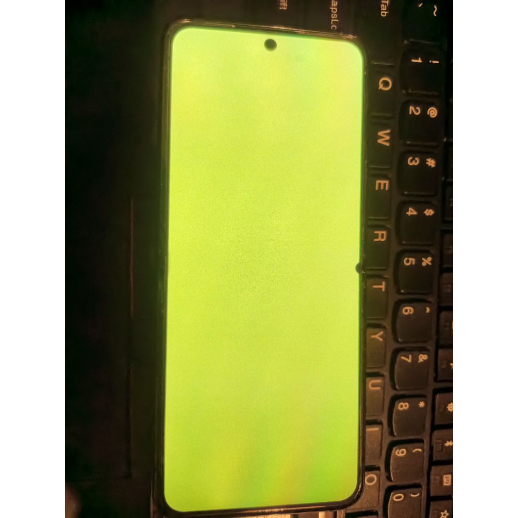 Lcd z flip 4 green screen
