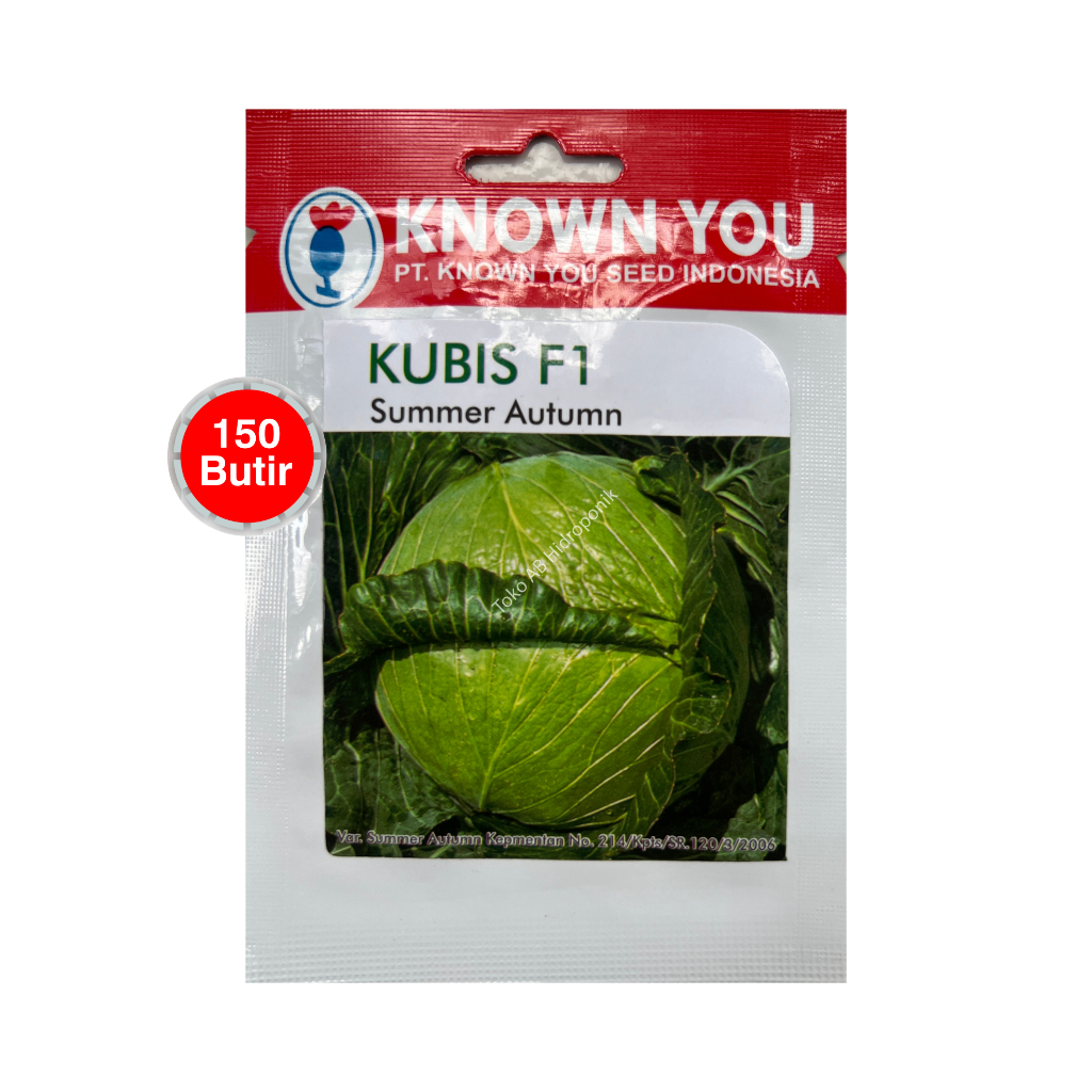 150 Butir - Benih Kol Kubis Summer Autumn F1 Known You Seed