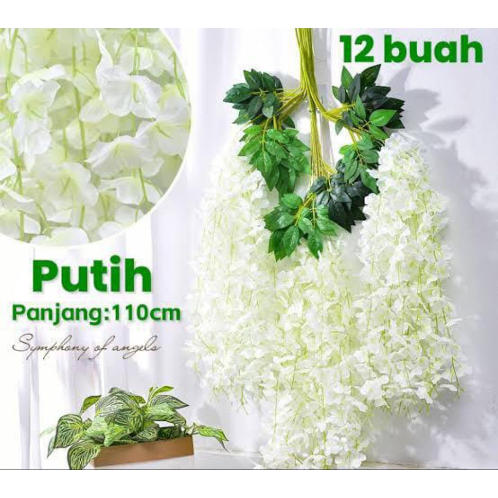 Bunga Juntai Wisteria/Wisteria Gantung Besar (1 LUSIN/CABANG 3) (PUTIH)