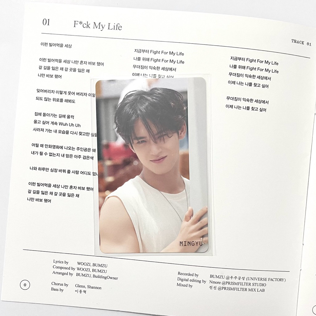 kim mingyu seventeen hmv sector17