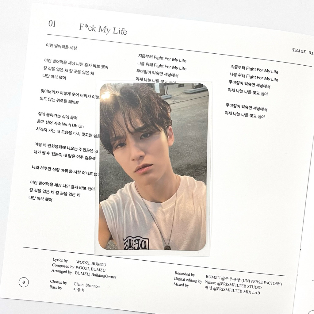 kim mingyu seventeen yizhiyu sector17 [damage]