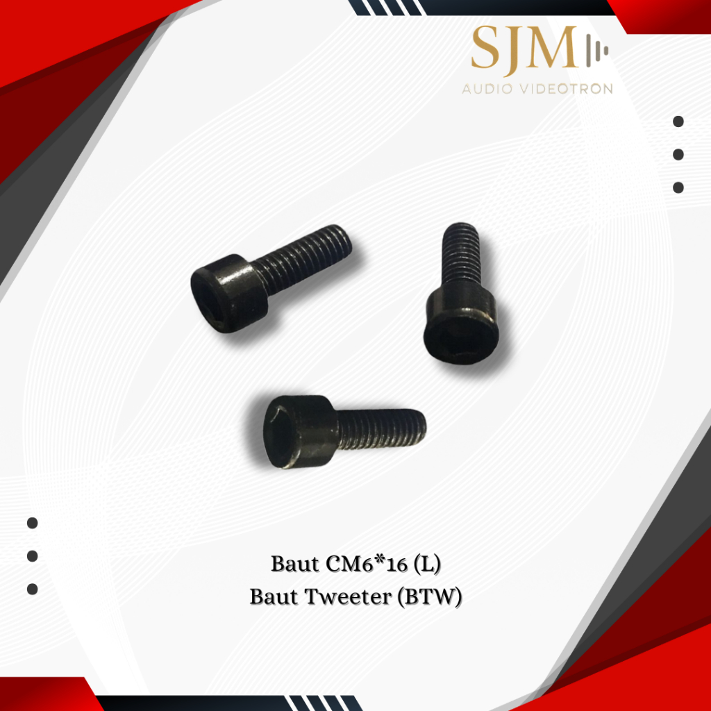 BAUT CM6*16 (L) Baut Tweeter (BTW)