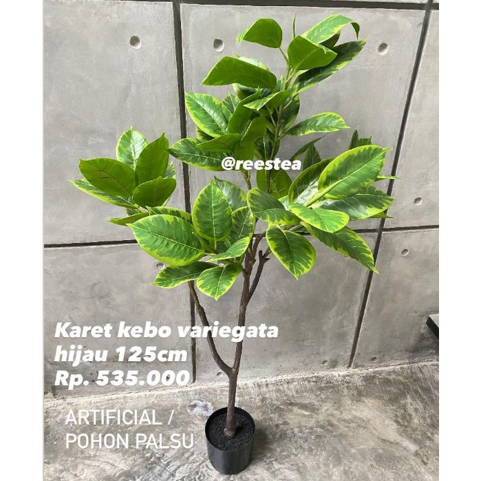 Pohon Hias Karet Kebo Variegata tinggi 125cm/ Pohon Hias Palsu / Artificial plant