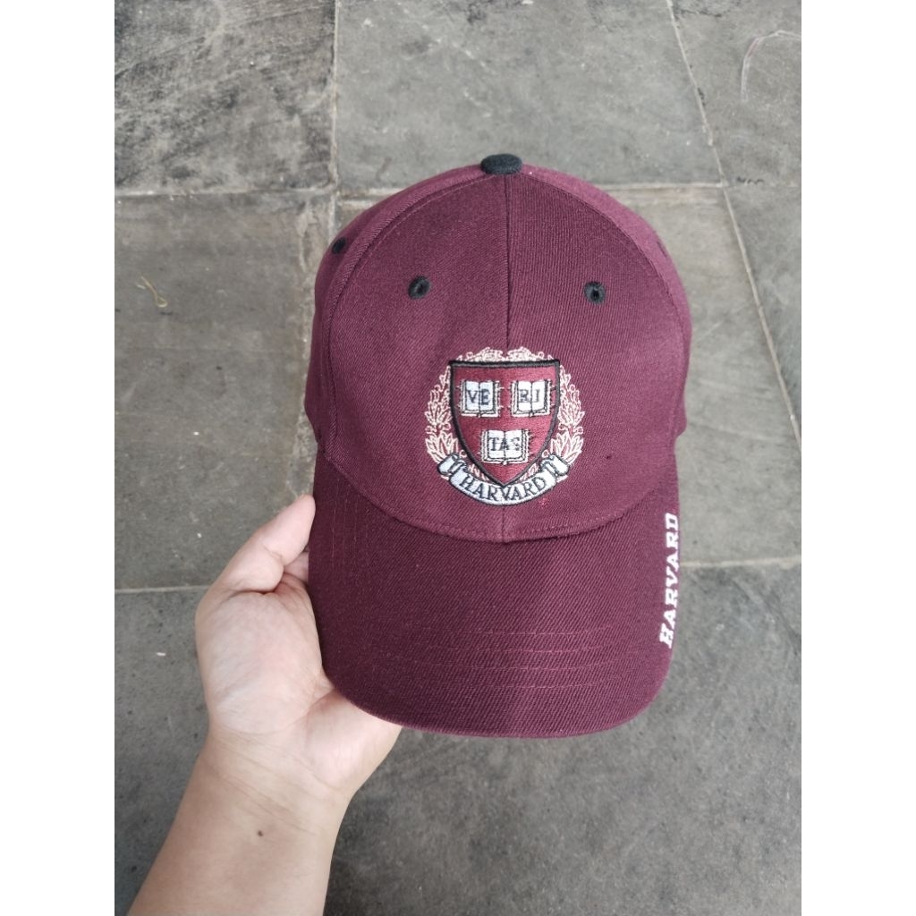 Topi Buildup Harvard