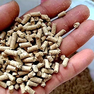 Pur B2 Pur Ayam Dewasa Pur Ayam Bangkok Pur Pelet Ayam Petarung