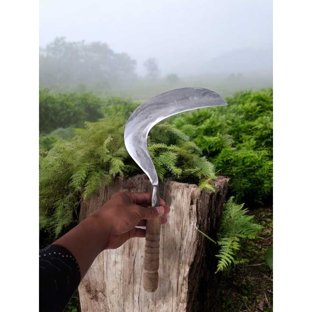 Arit Sabit Baja Putih sepuhan pembersih rumput