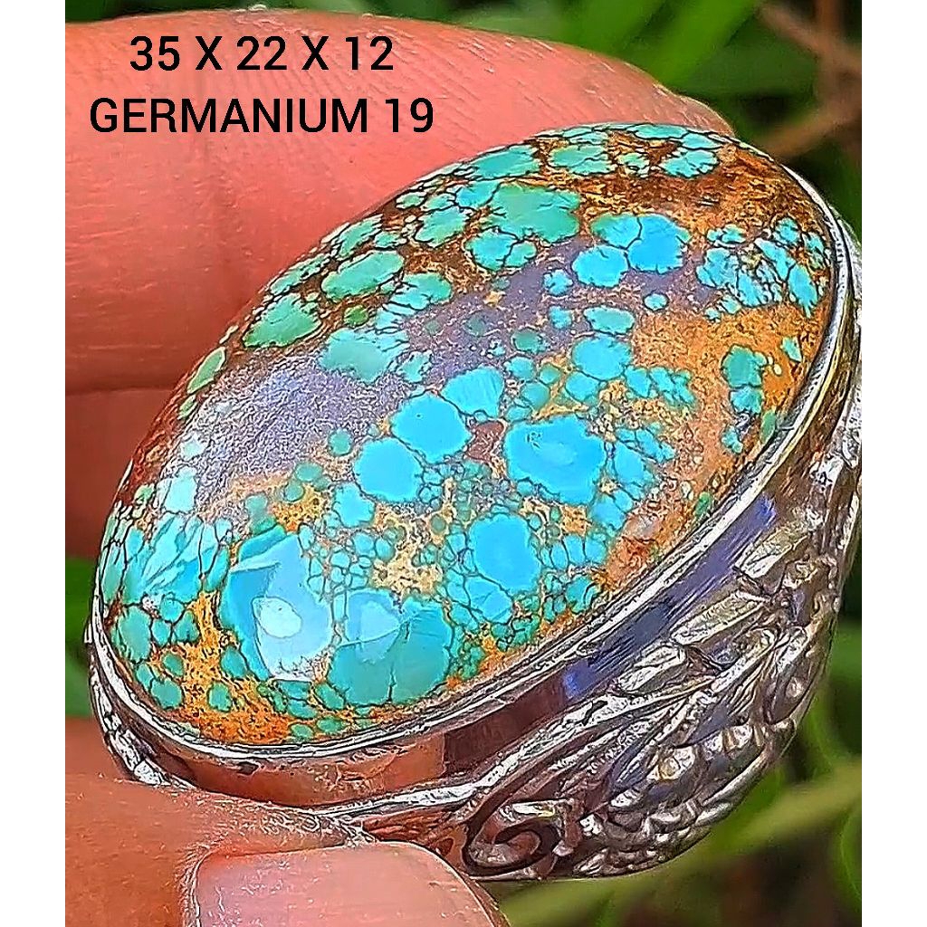 pirus persia lawasan hijau toska gradasi jumbo