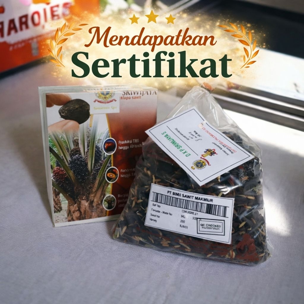 Kecambah Sawit Unggul DXP Sriwijaya 5 Original | 100% Bersertifikat Resmi