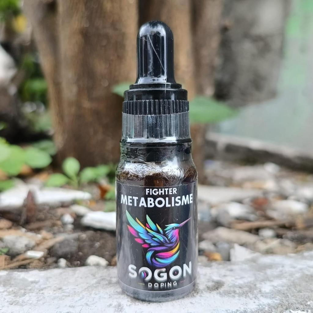 METABOLIS SOGON METABOLISME FIGHTER VITAMIN PENGGACOR BURUNG SOGON KONIN KOLIBRI BURUNG PEMAKAN MADU