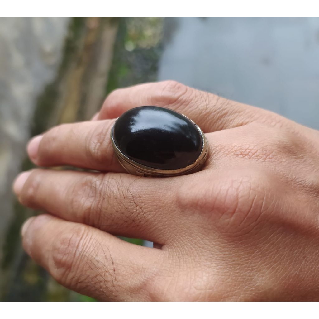 batu akik fosil kelor