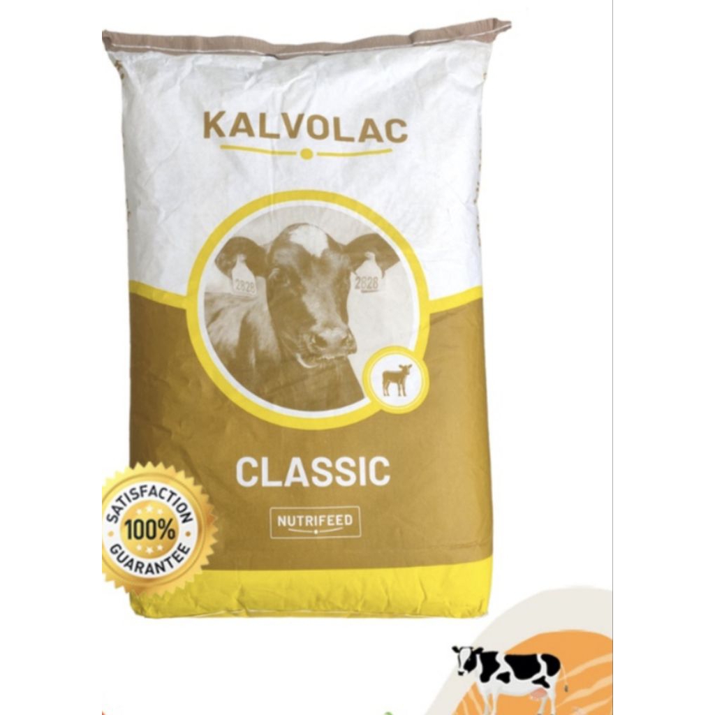 Kalvolac susu pengganti indukan hewan