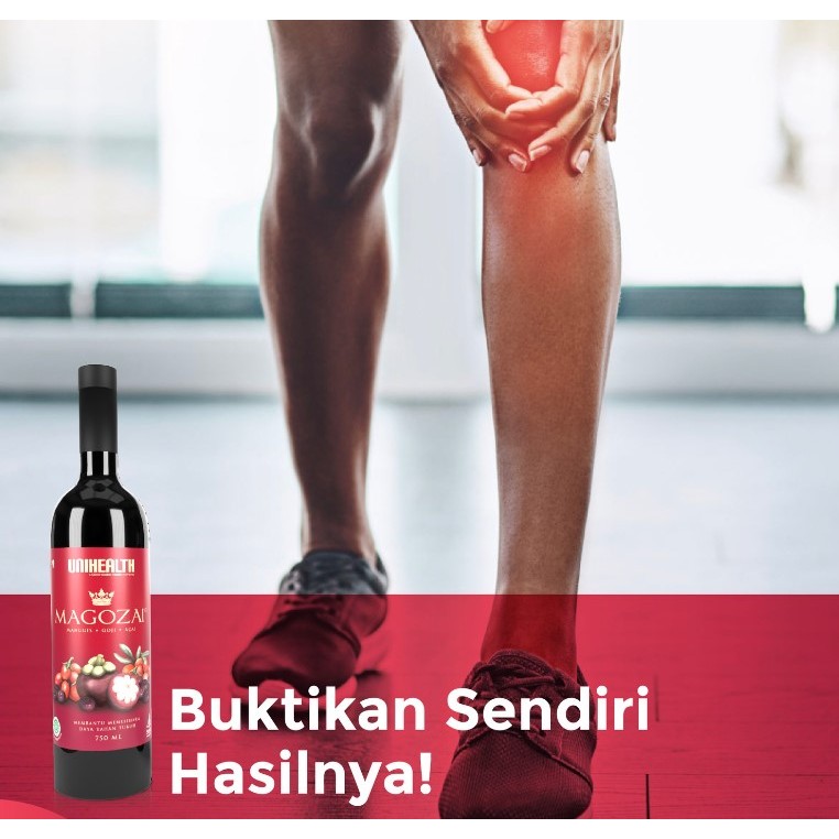 MAGOZAI Antioksidan Alami Kulit Manggis Goji Berry Acai Berry