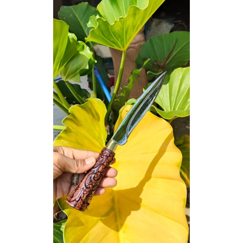 pisau tajih bulu ayam, komplit sarung original asli Madura