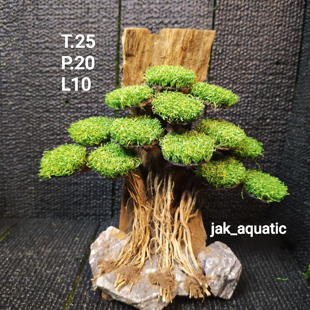 bonsai tebing sintesis Aquascape