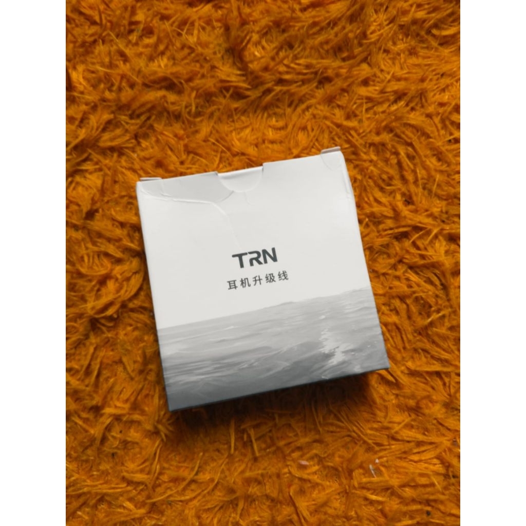 DAC TRN TE not Kinera Ruyi Moondrop EPZ Snowsky TRN