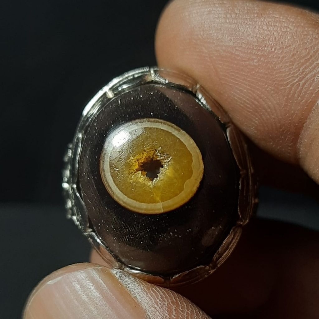 Batu akik combong kelor