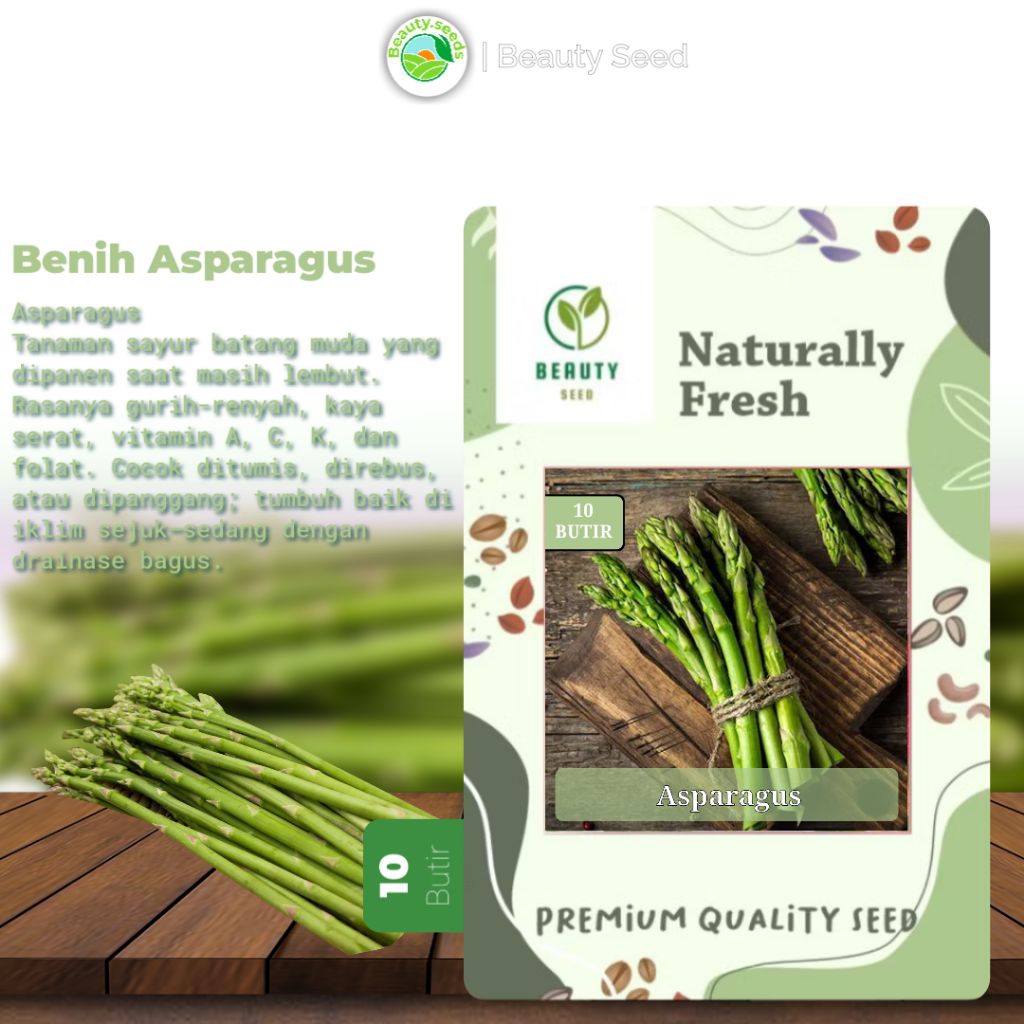 Benih Biji Asparagus - Asparagus Marry Wasington - Asparagus Seed