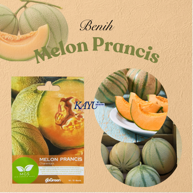 Benih Melon/Benih Melon Prancis/Benih Melon Prancis Cahrentais/Benih Murah