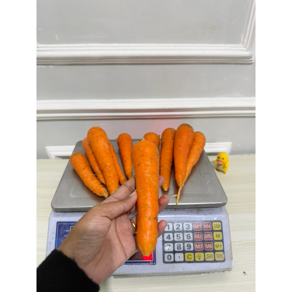 Wortel mini brastagi manis 1kg isi 10-14 batang wortel