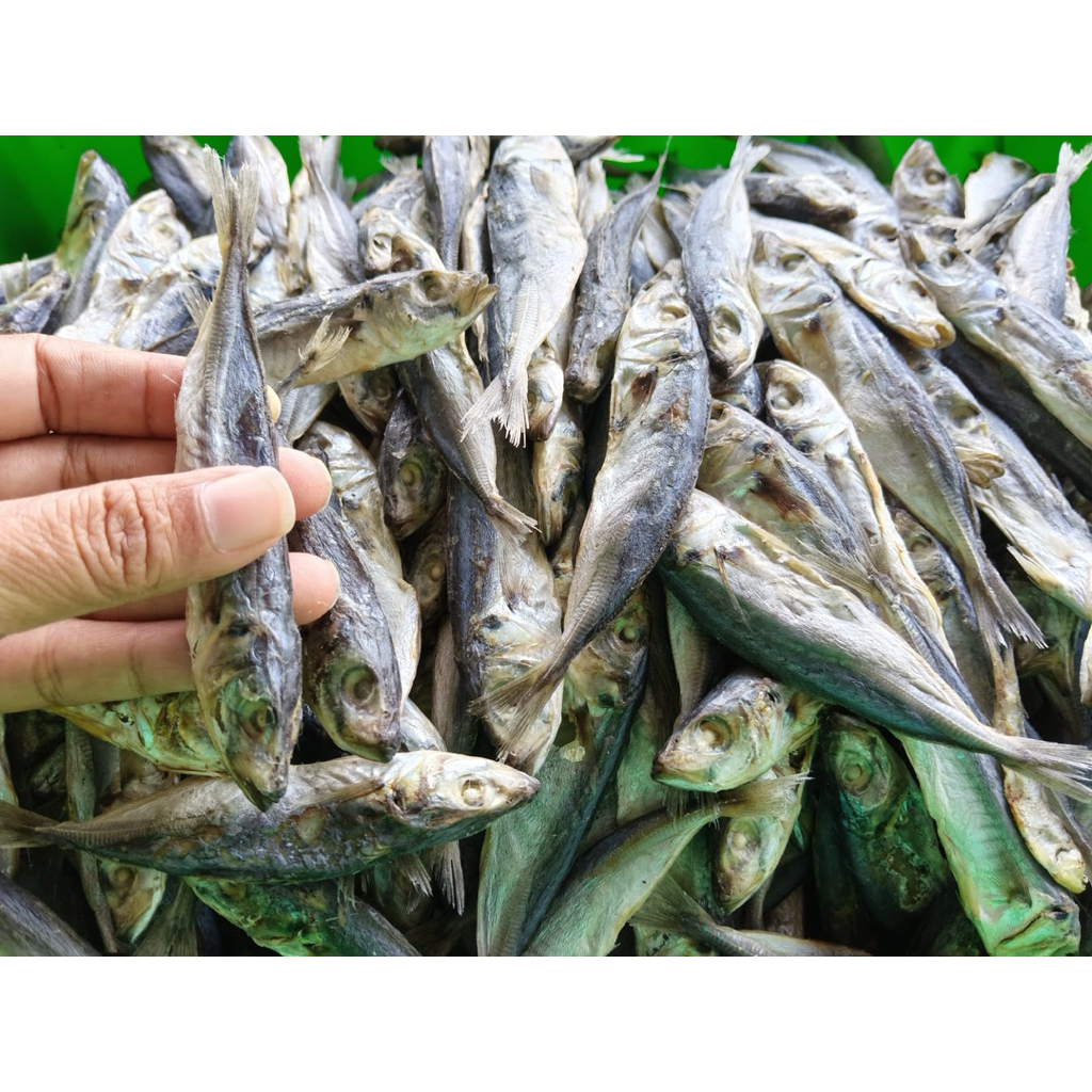 Ikan Asin Peda Ukuran Kecil
