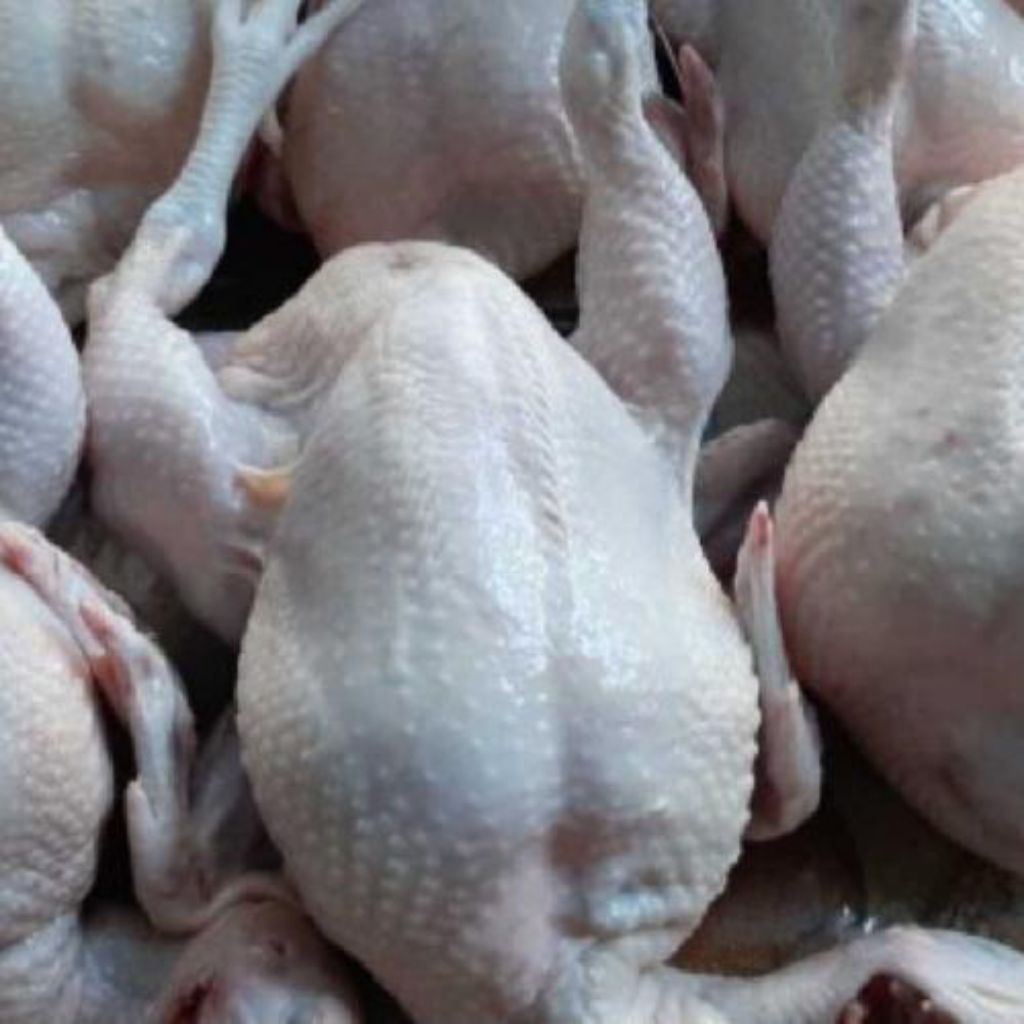 Ayam Potong Bersih Segar Berat -+ 1,2 kg/Pasar Sayur Makassar