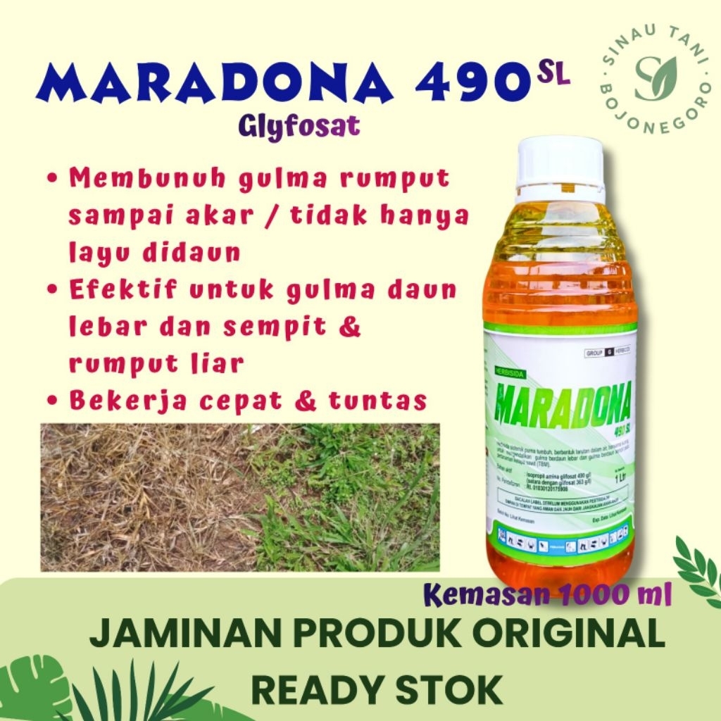 MARADONA 490 SL – Kemasan 1 Liter Herbisida Sistemik Paling Efektif, Gulma Mati Total dari Akar dala