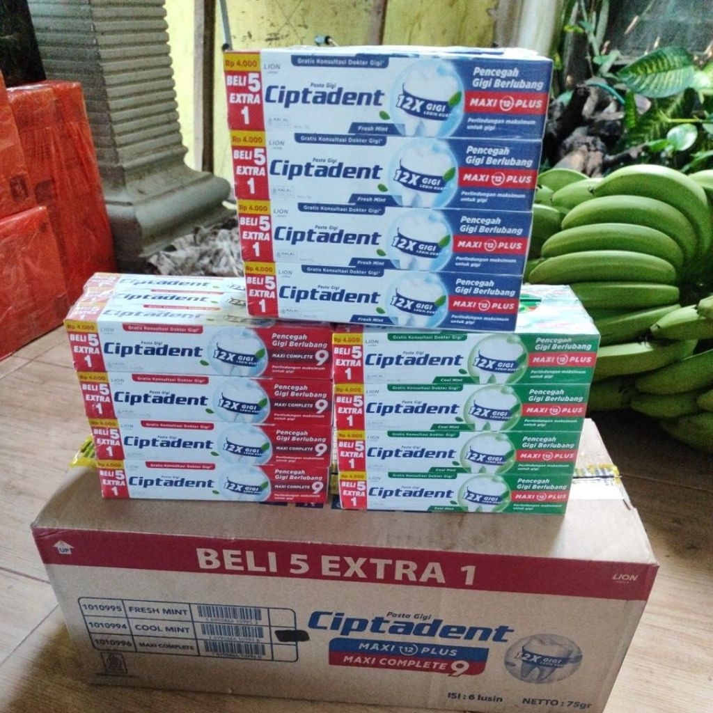 (1 dus isi 72 pcs) CIPTADENT MAXY 12 PLUS 75 GRAM