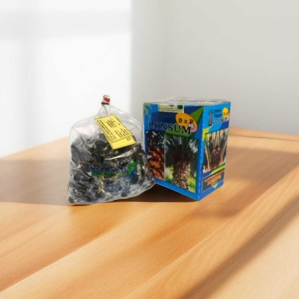 Bibit Benih Kecambah Kelapa Sawit DXP LONSUM Unggul (250 Butir) Bersertifikat