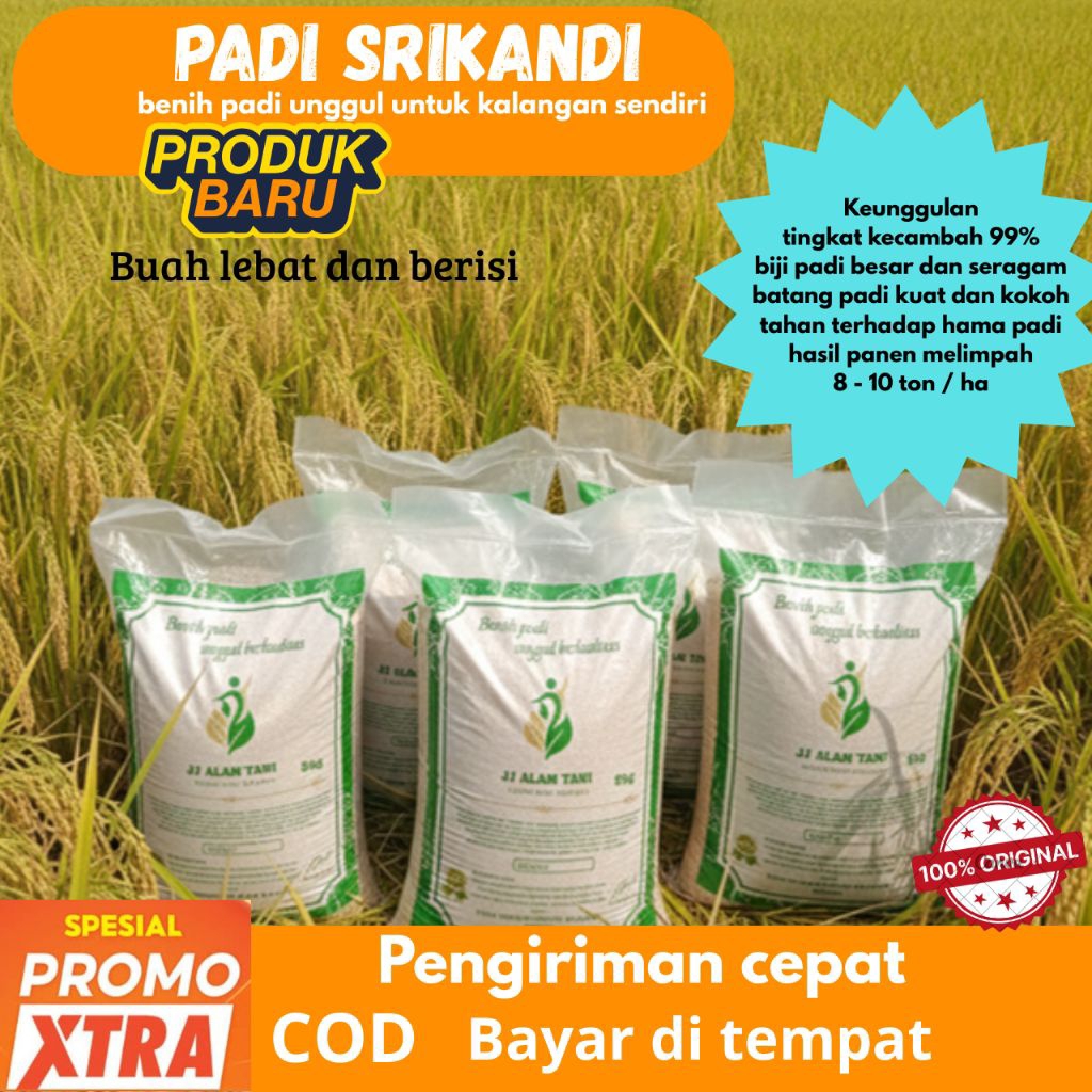 PADI UNGGUL SRIKANDI