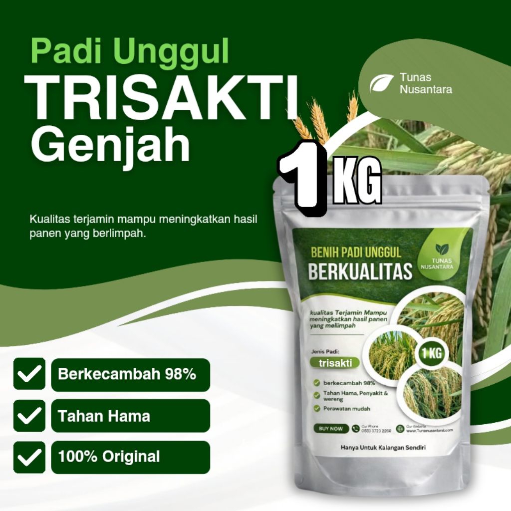 Benih padi unggul berkualitas tinggi TRISAKTI benih padi Genjah kemasan 1kg