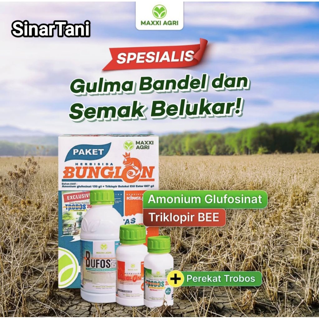 Herbisida PAKET BUNGLON Berantas Lulangan & gulma berkayu
