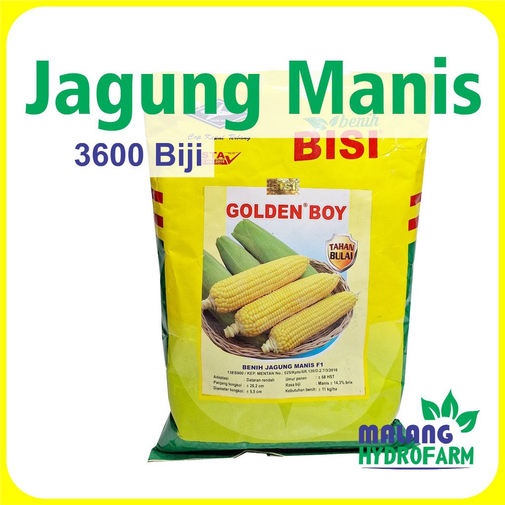 Benih Jagung Manis Golden Boy F1 3600 biji Cap Kapal Terbang hibrida dataran rendah unggul bibit bij