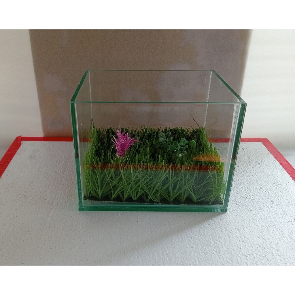 aquarium mini 20x15x15