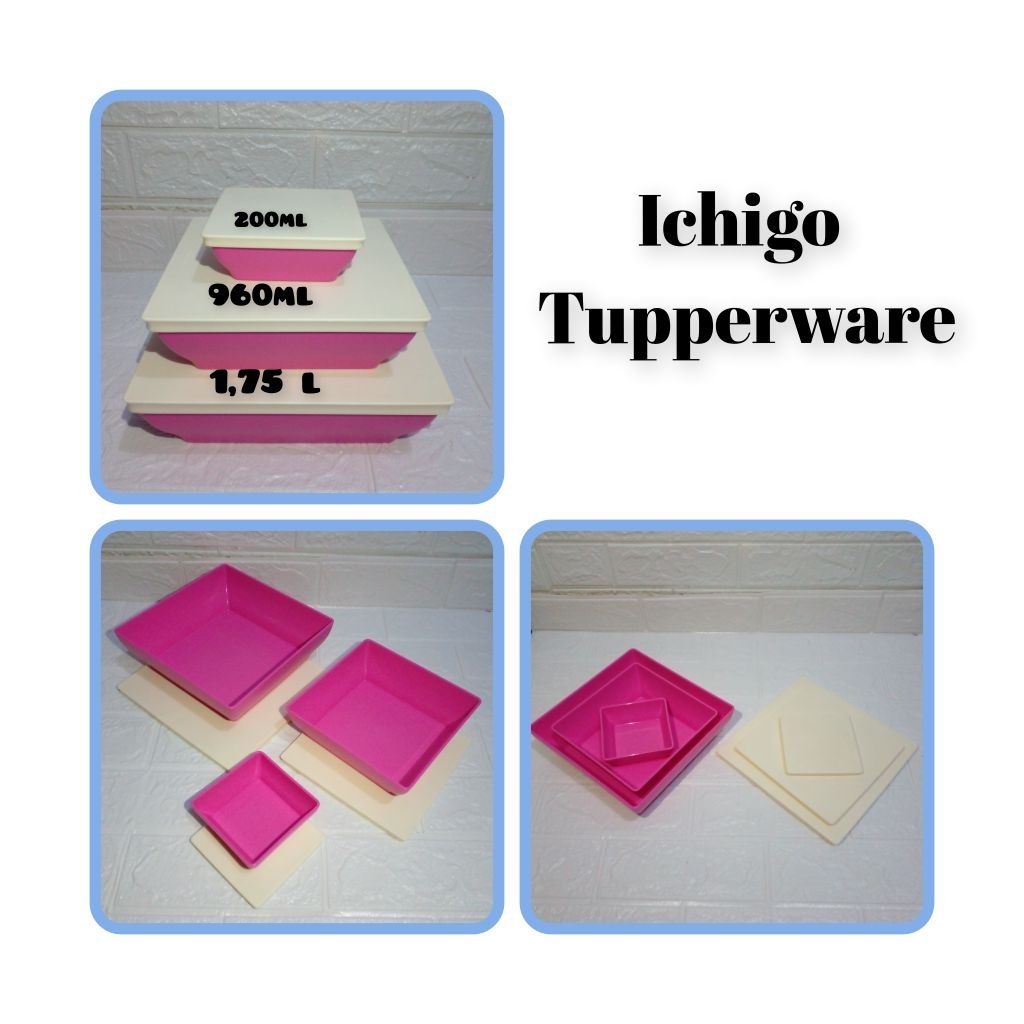 Ichigo Tupperware BARU (3)