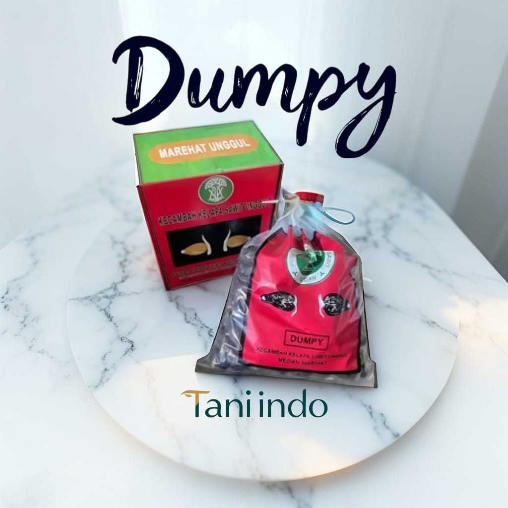 bibit kecambah kelapa sawit unggul berserifikat