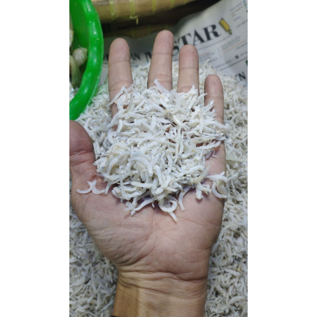 Ikan Teri Nasi Kecil Kiloan