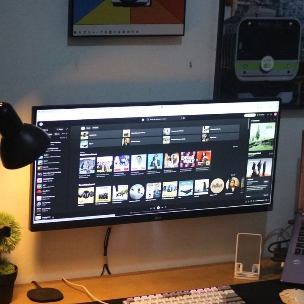 Monitor LG Ultrawide 29 Inch