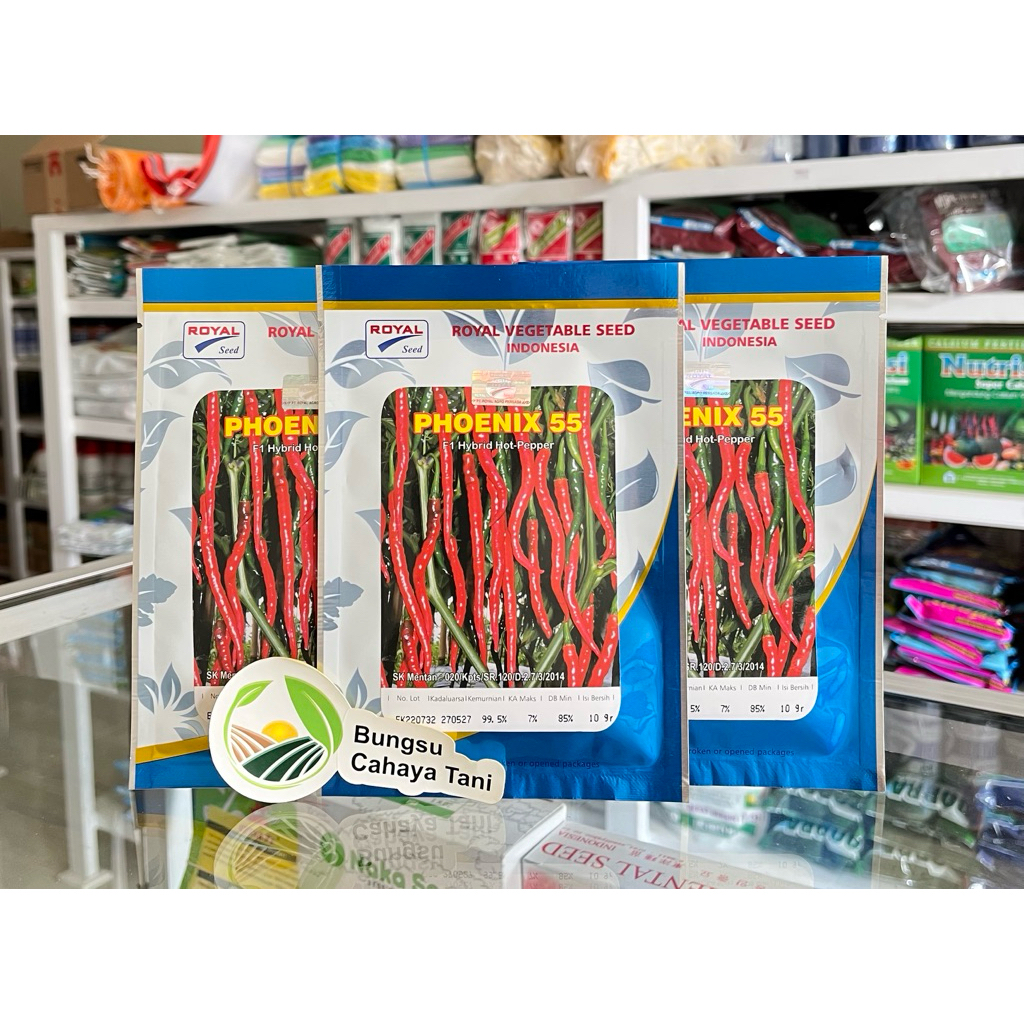 Benih Cabe Keriting PHOENIX 55 10gr Royal Seed