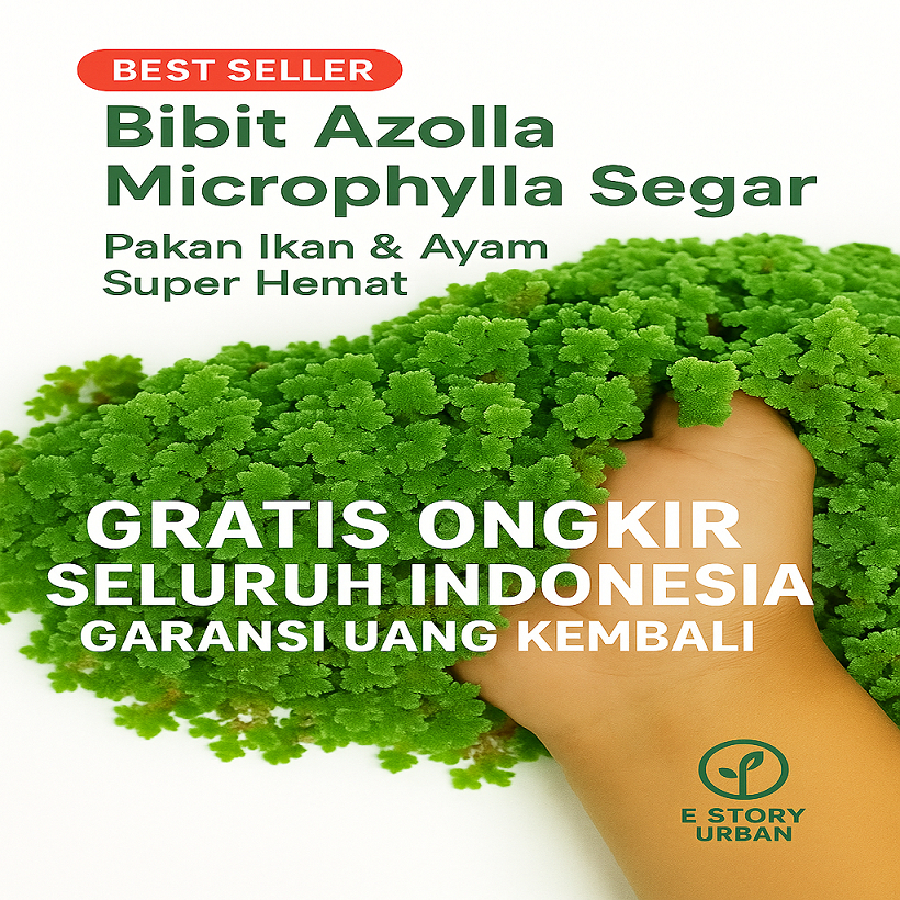 Bibit Azolla Super Pakan Ternak Unggas Ikan Ayam Bebek & Pupuk