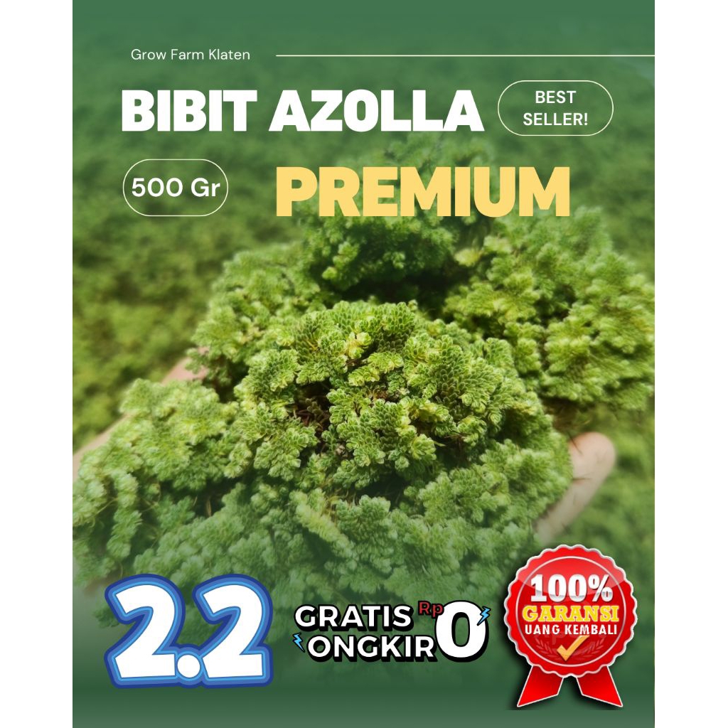 (500Gr) BIBIT AZOLLA PREMIUM / PAKAN ALTERNATIF TERNAK AYAM BEBEK IKAN KAMBING SAPI
