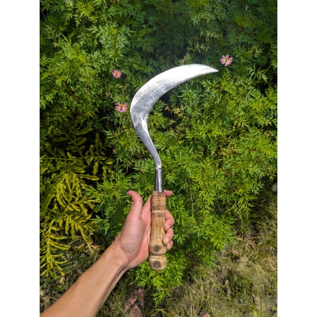 Sabit / Arit Rambanan Baja Isen Gagang Kayu Sono