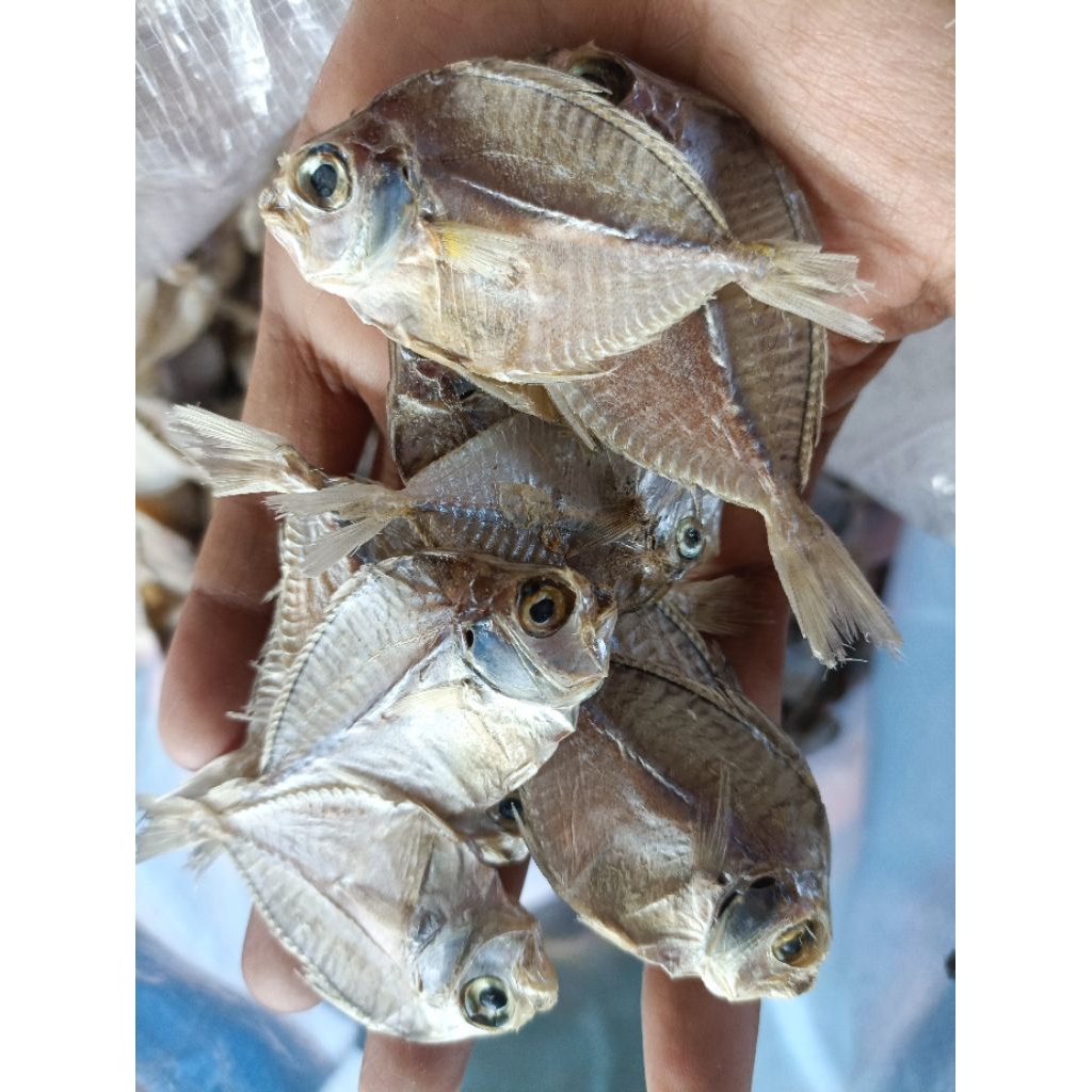 Ikan pirik tawar/ikan dokdok tawar/ikan petek tawar termurah (masih ada rasa asin/gurih)