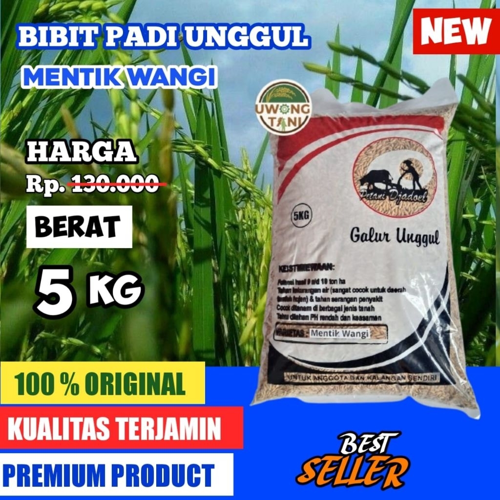 BENIH PADI BIBIT PADI UNGGUL MENTIK WANGI 5 KG